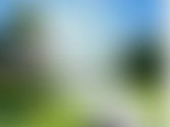 Discussion on two main methods of utilizing robotic mowers in commercial operations