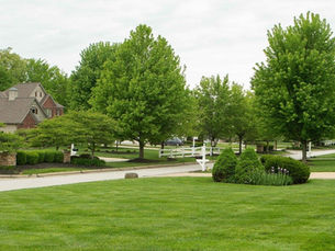 Discussion on using single robot mower for several properties to increase efficiency