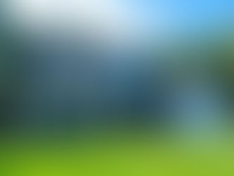 How Can I Get a Great Lawn For a New House?