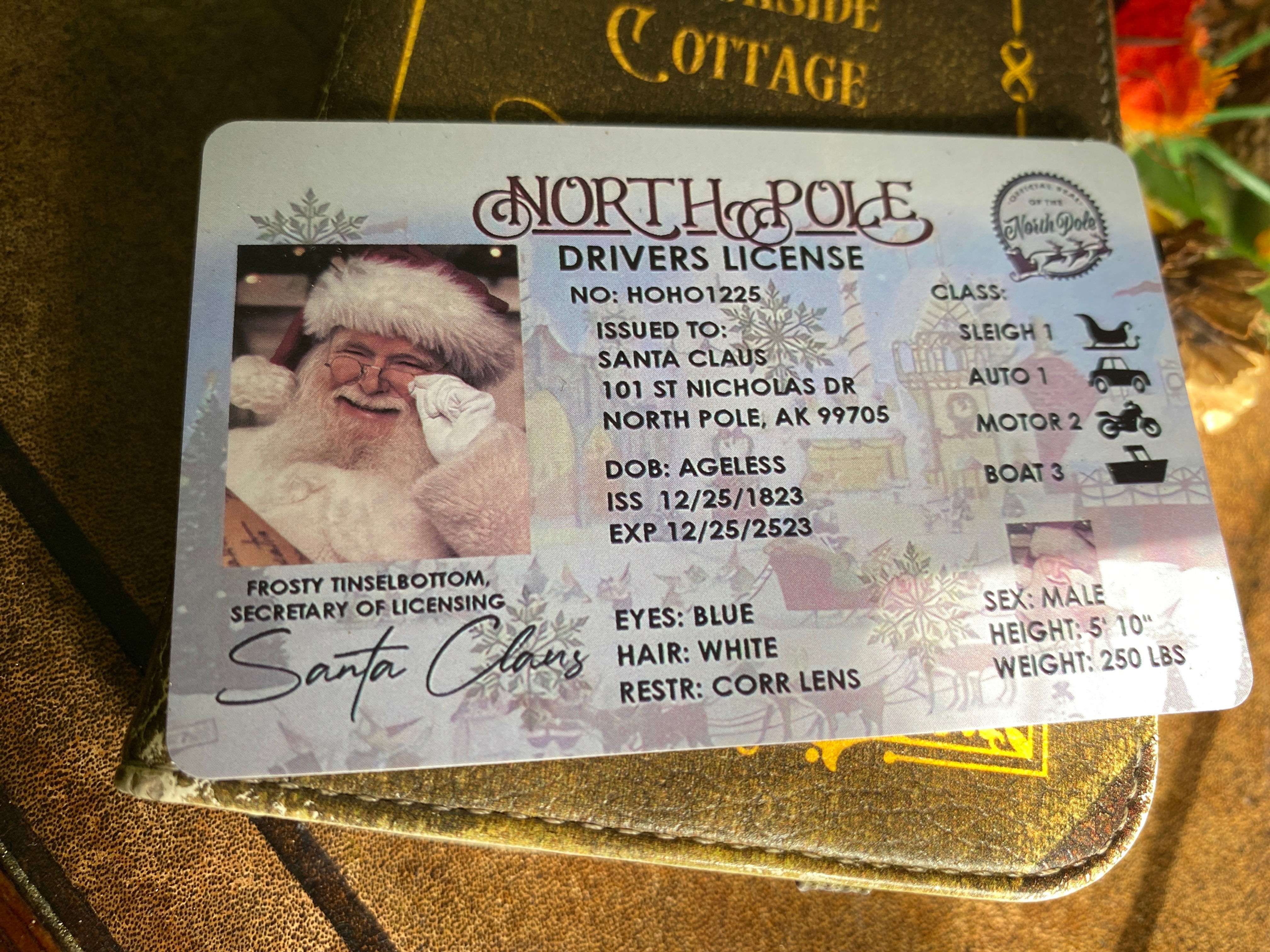 Santa’s Lost Driving Licence (Northpole)