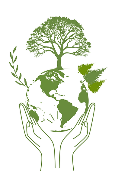 TREE OF MAYA 2024 (34).png