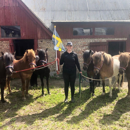 Flytt till Lundom gård!