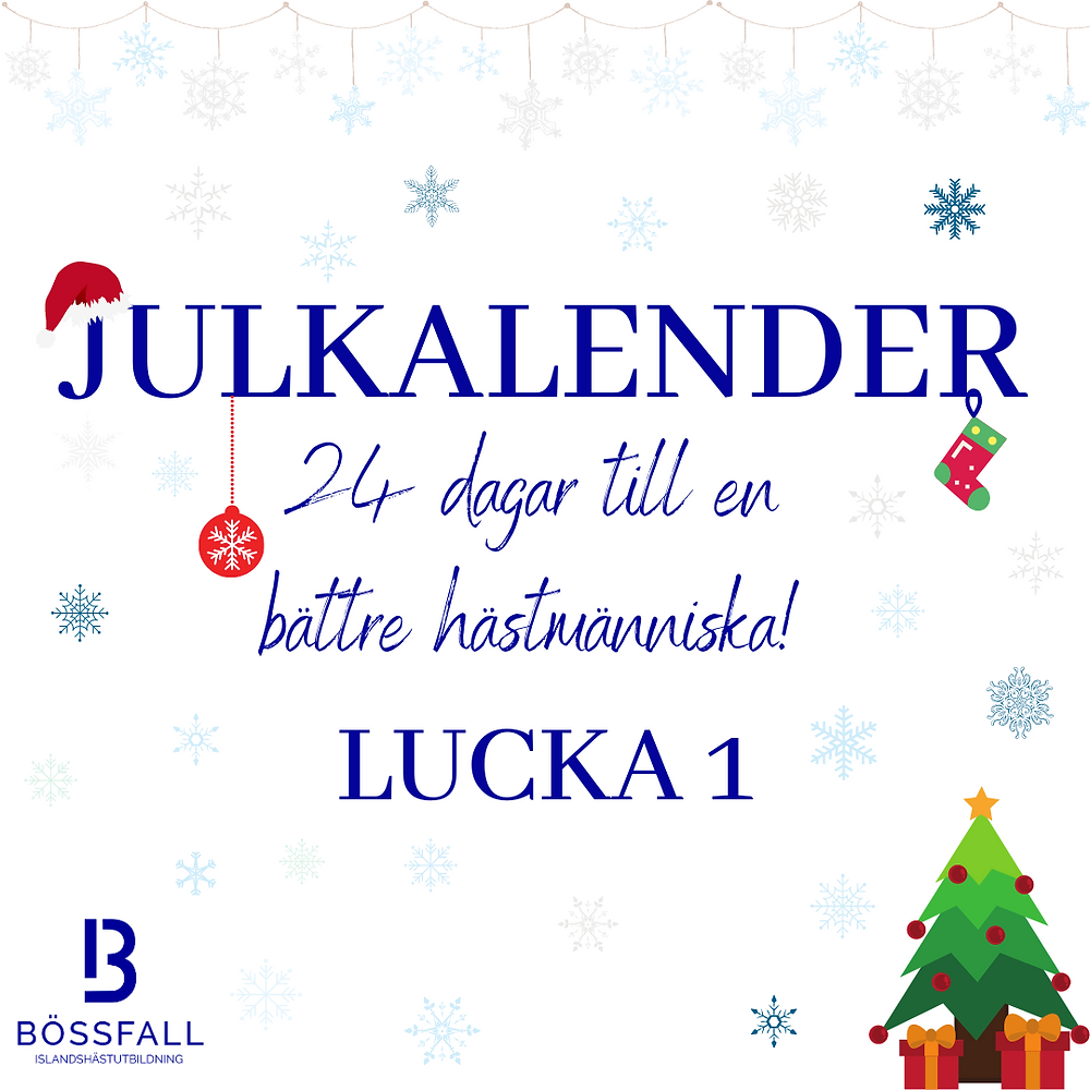 Julkalender 24 dagar till en bättre hästmänniska: Lucka 1
