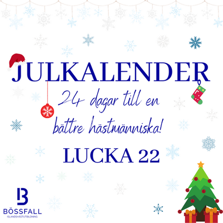 Lucka 22: Blicka bakåt för att kunna se framåt
