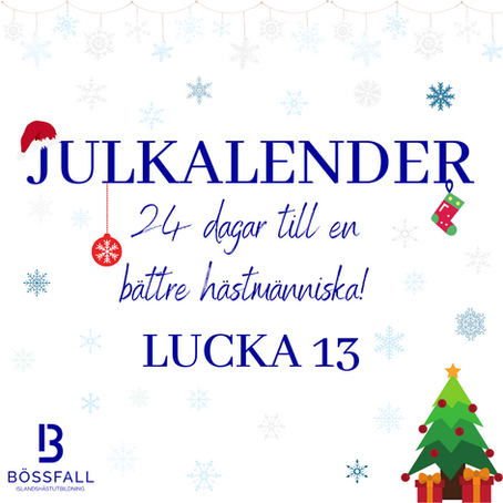 Lucka 13: Det hemliga kontraktet
