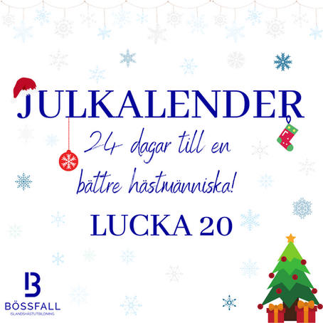 Lucka 20: Klyksitsen