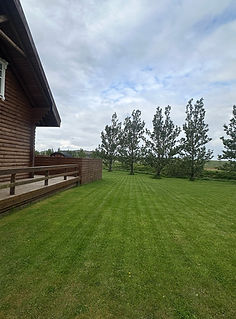 Garðsláttur mynd - 2025