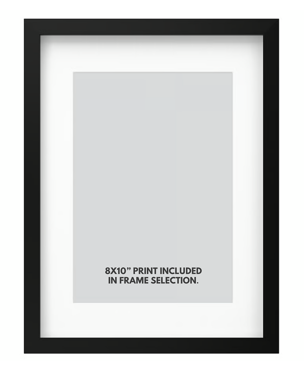 Thumbnail: Vintage Alberta License Plates 8x10" Print