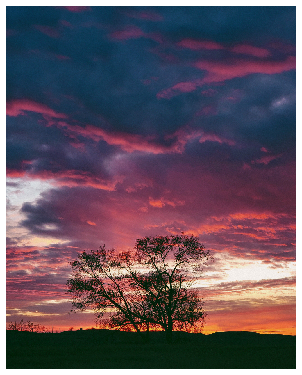 Fit For A Classic Western 8x10" Print