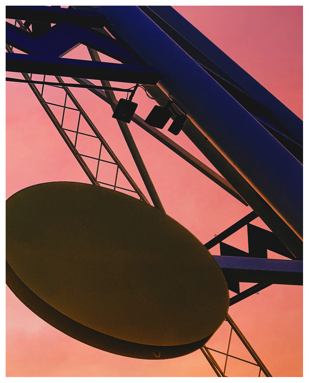 Pretty in Pink 8x10" Print