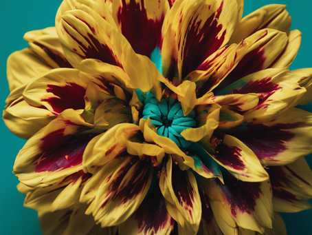 Empowering Women Through Shared Experiences