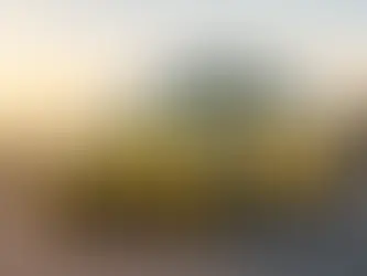 Volkswagen Beetle Gizli Özellikler