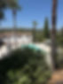 IMG_1229.jpeg