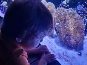 Seeing The World Through A Child's Eyes