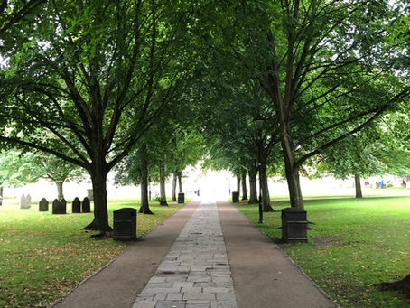 Winchester Cathedral