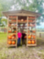 Pumpkin House