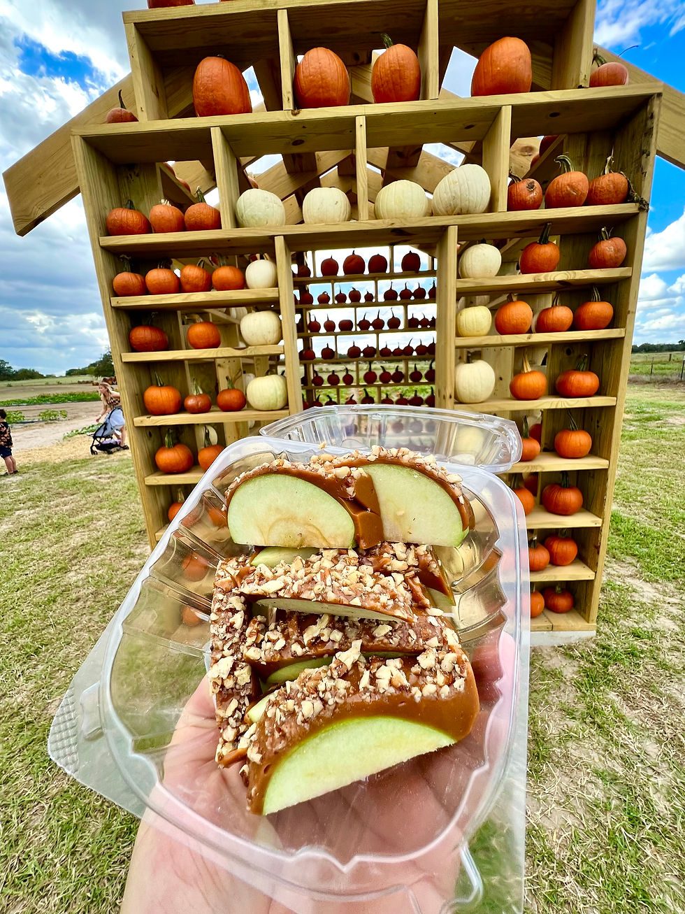 Tasty Treats