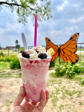 Blackberry shake.jpeg