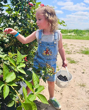 Girl picking blackberries.jpeg