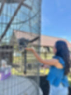 Girl feeding lemur.jpg