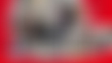 Da campione ad autoriparatore