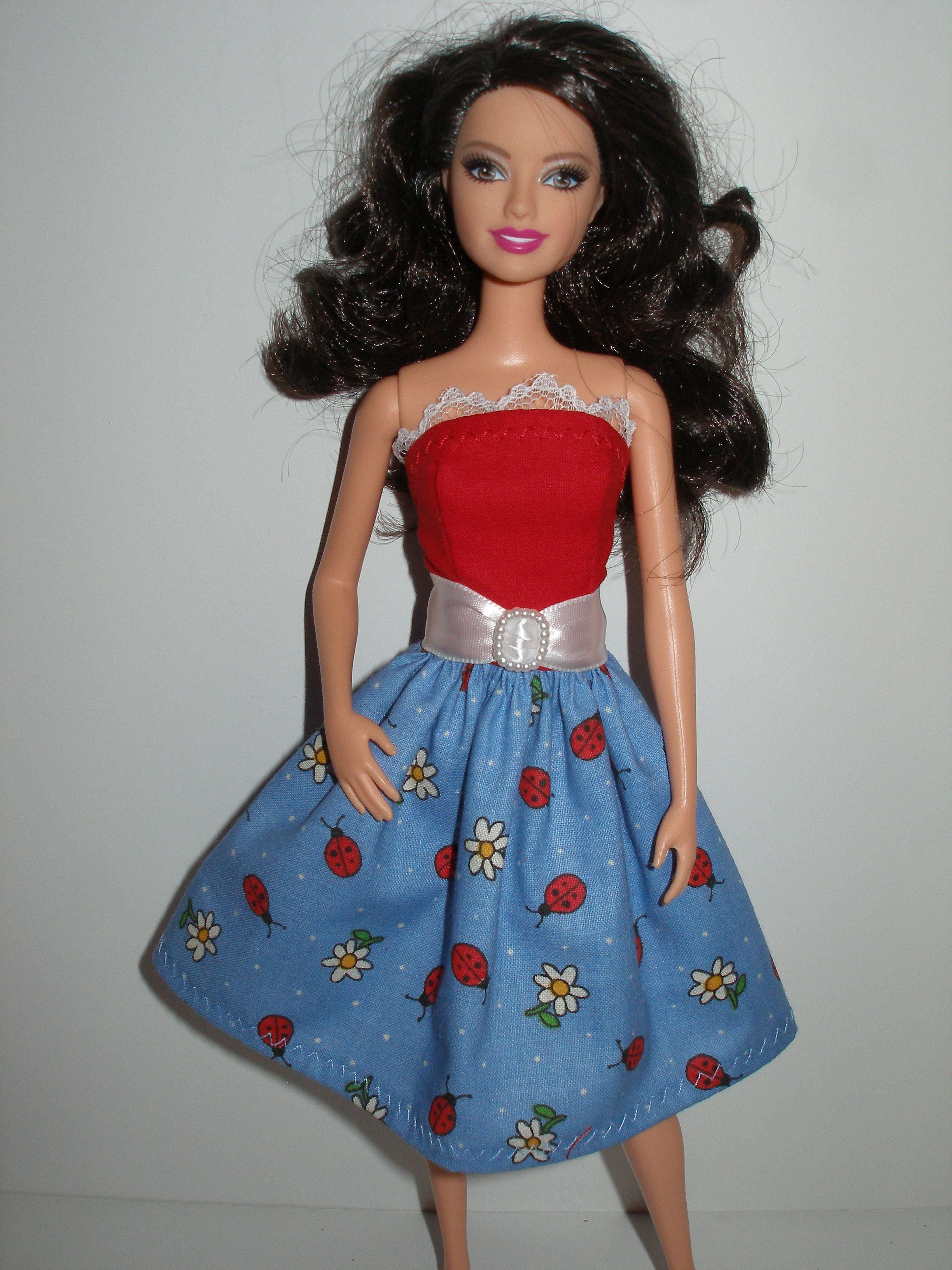 Blue and Red Ladybug and Daisy Dress