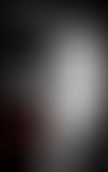 EL GRITO DE LA GAVIOTA