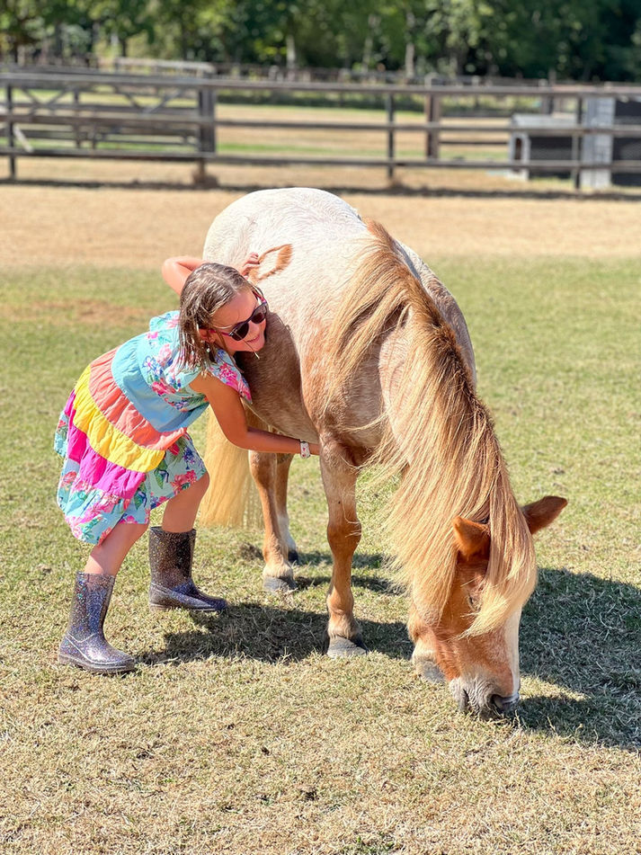 Pony therapy Care home visits pony experiences therapy ponies