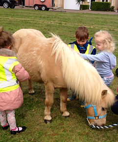 unicorn party london pony hire pony parties london pony parties essex pony parties norfolk pony parties hertfordshire pony hire unicorn parties pony school visits tiny tots riding lessons