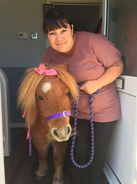 Care home pony visit
