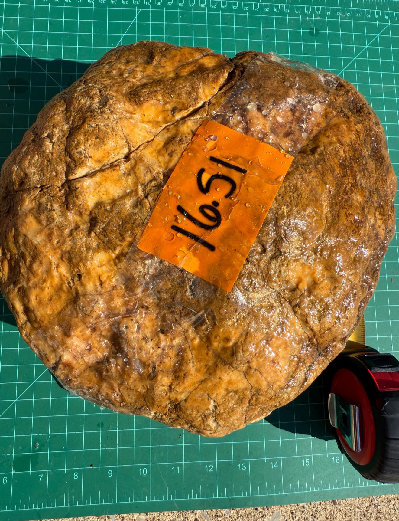 Giant Geodes (15- 19 lbs) Quartz Crystals -Unopened/ Break Your Own