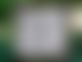 And so our adventure begins