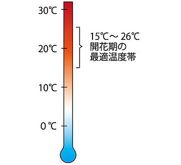 image-3.jpg