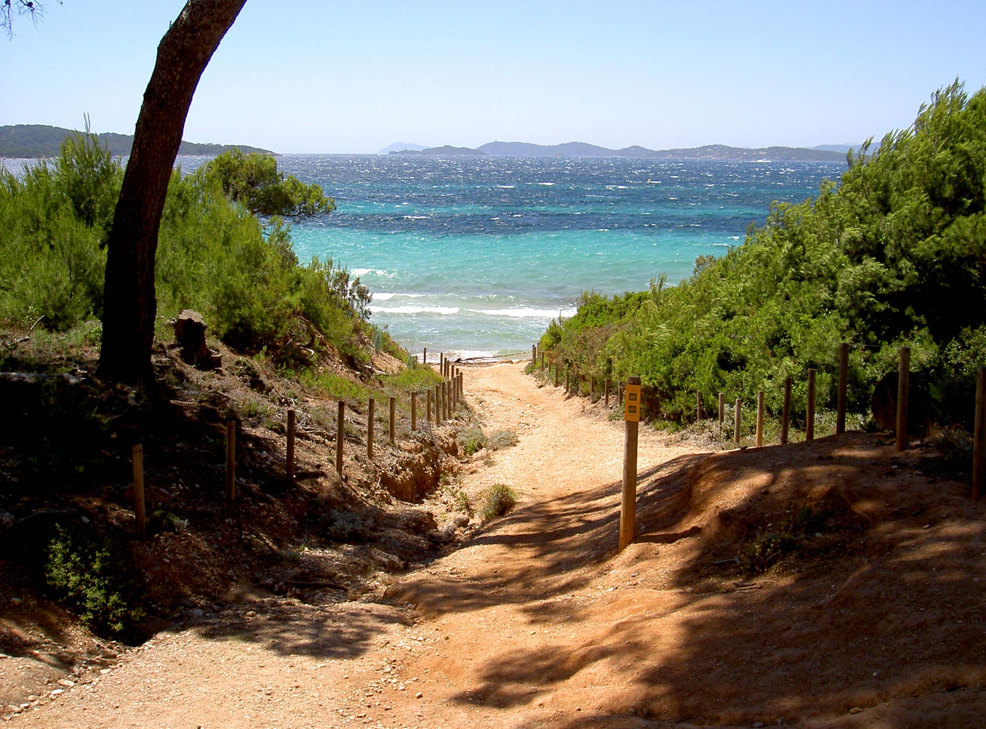 Porquerolles Island