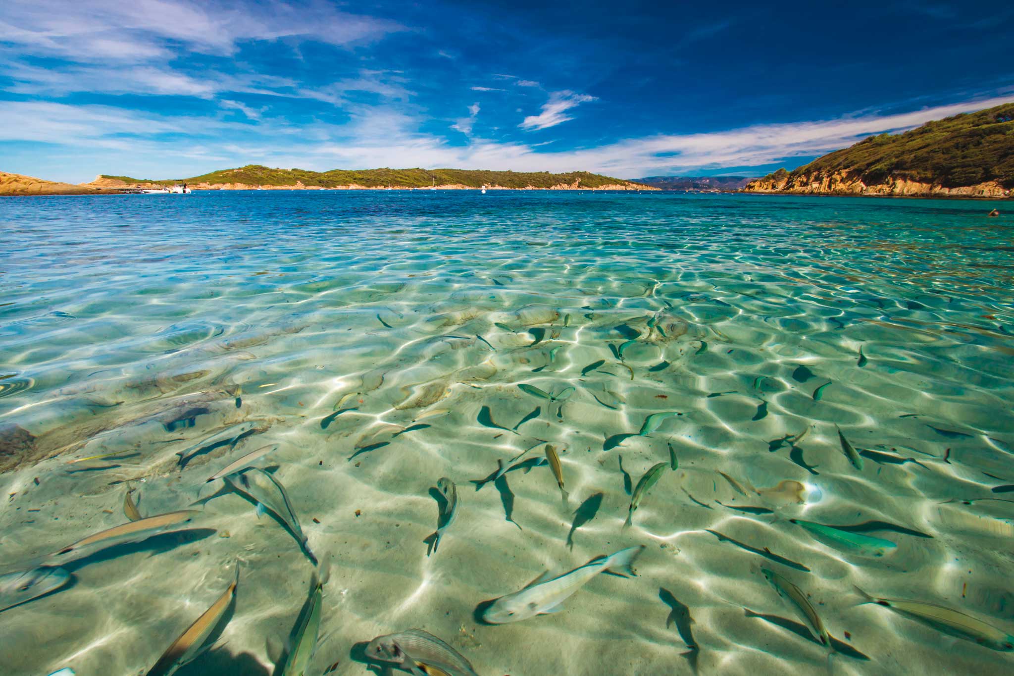 Port-Cros Island