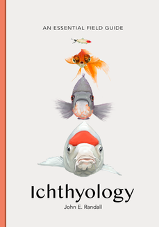 Fish 2026