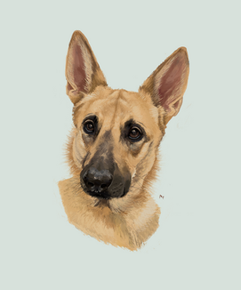Gia 3