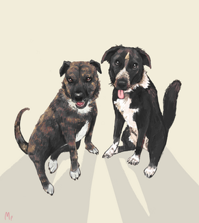 Dela and Marshall