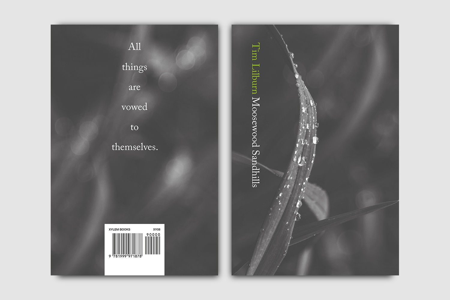 Moosewood Sandhills (Tim Lilburn)