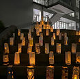 IMG_6587.jpg