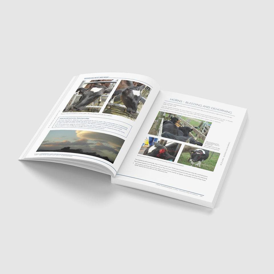 Inside Spread of Practical Gide for Cattle Veterinarians