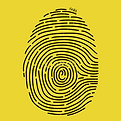 Yellow IWH.png