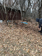 Junk, Trash, Removal, Wisconsin Rapids, Yard Clean-up, Wild Rose