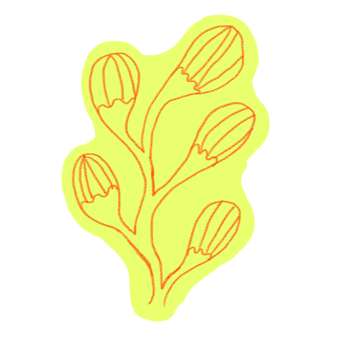 fleurs2.gif