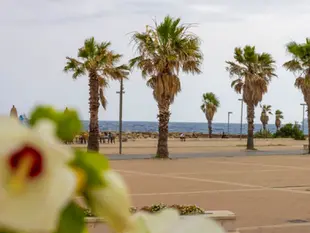 Lungomare e Passeggiate a Civitavecchia: Il Mare a Due Passi dal Terminal