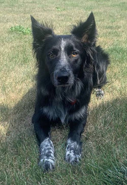 3BBEB036-6038-430C-912D-AD3DBBA87227_edi