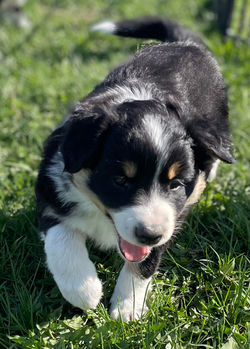 279926948_419758496665776_233907525770696979_n