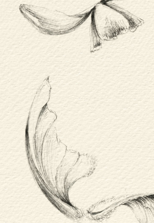 Flowers drawing - number 3