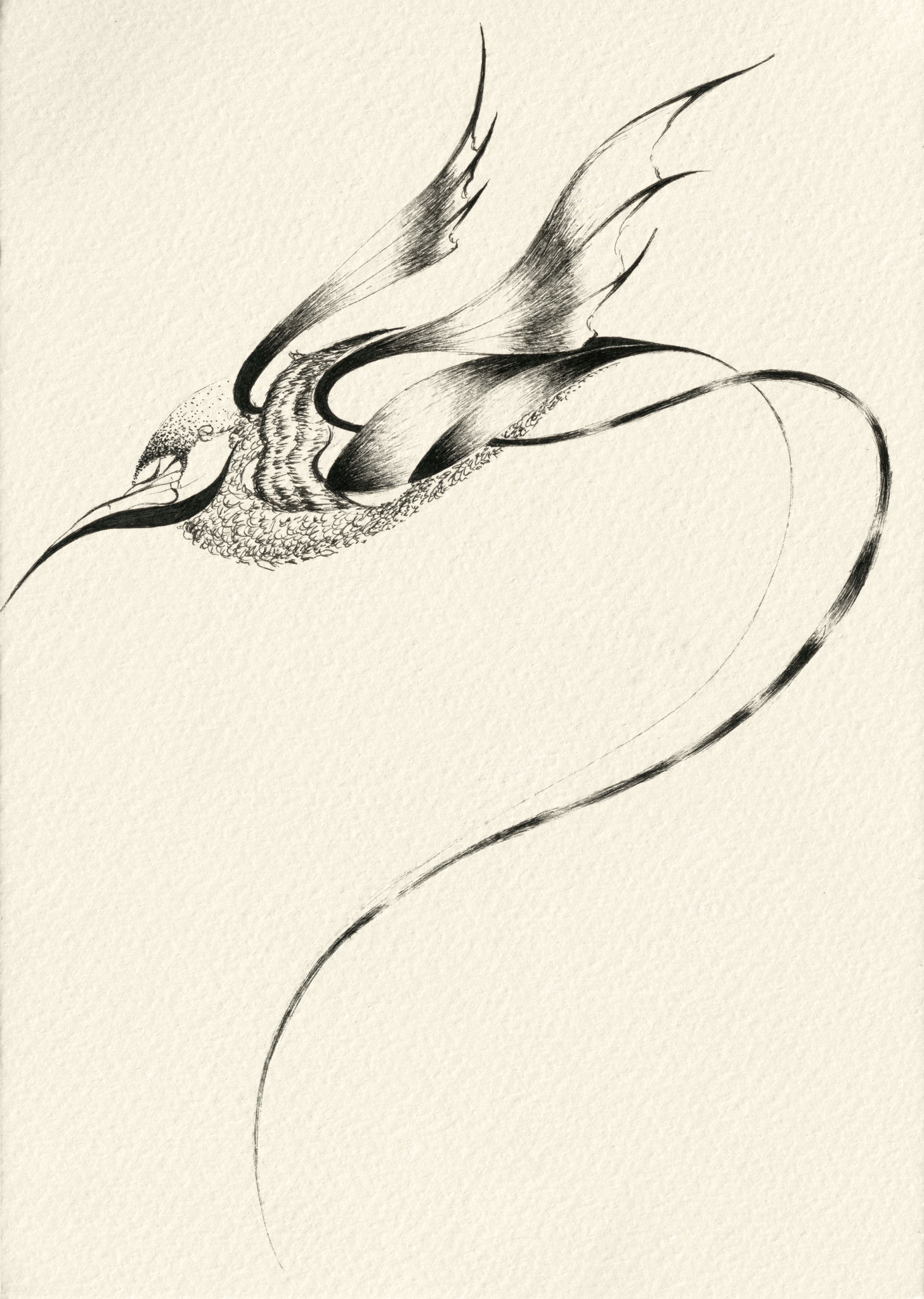 Creature drawing- number 33