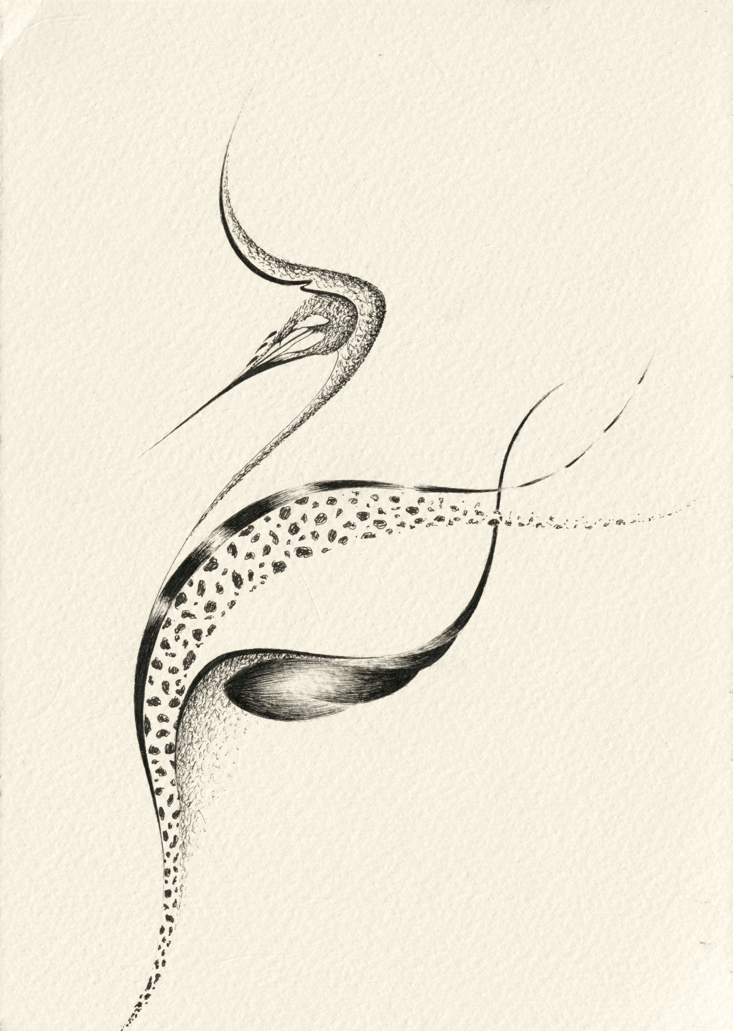Creature drawing- number 39